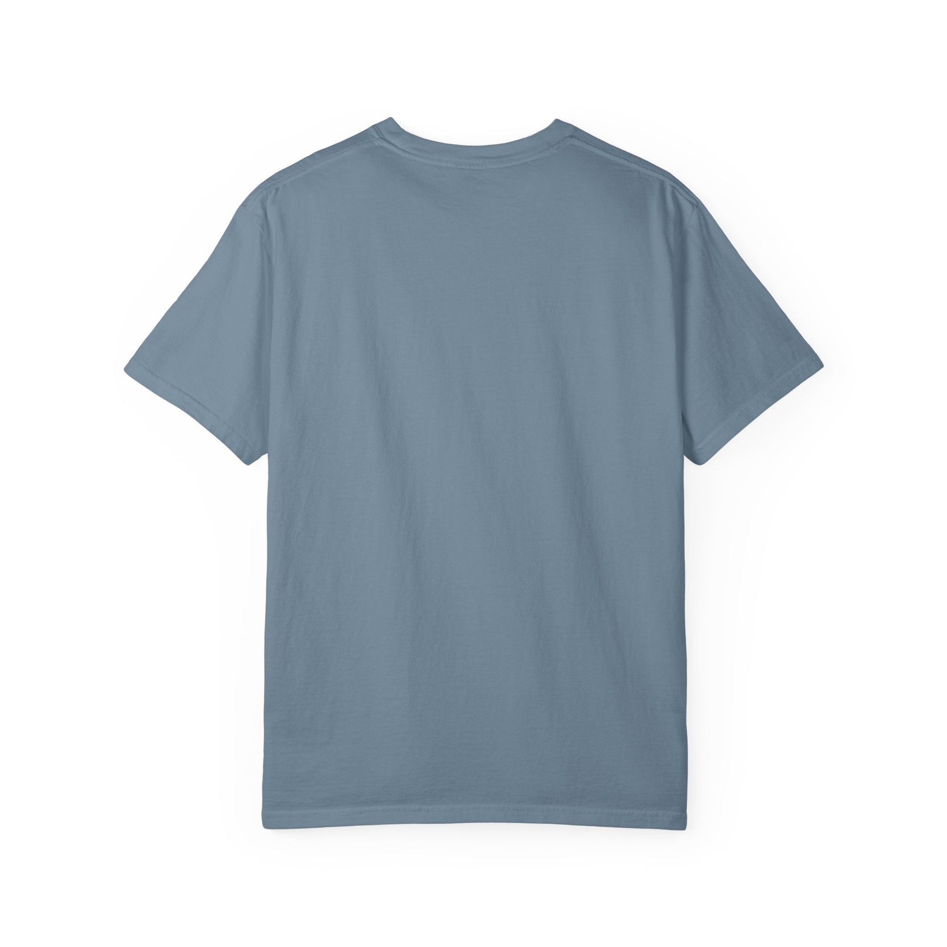 Ballerina Penguin Cute Unisex T-shirt, Animal Lover Gift Tee, Funny Dance Shirt, Pet Lover Gift, Penguin & Ballerina Tee